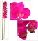 Lifelike 49-Inch Fuschia Artificial Phalaenopsis Orchid - Elegant and Realistic Floral Decor